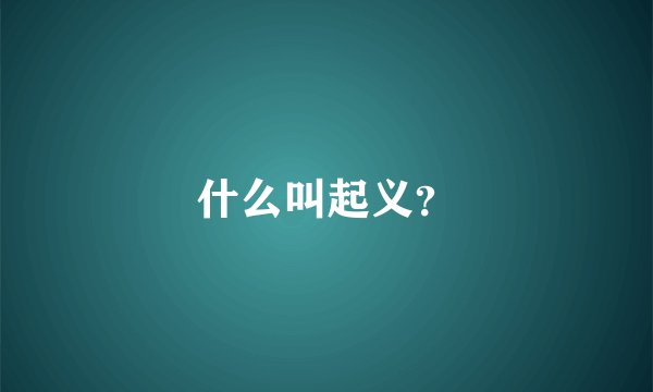 什么叫起义？