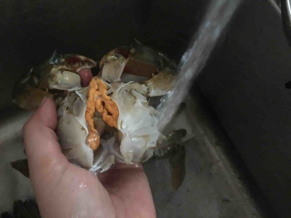 青蟹几种做法