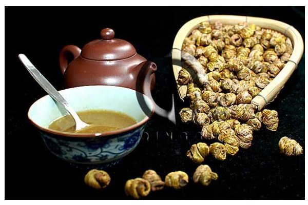 铁皮石斛的功效与作用