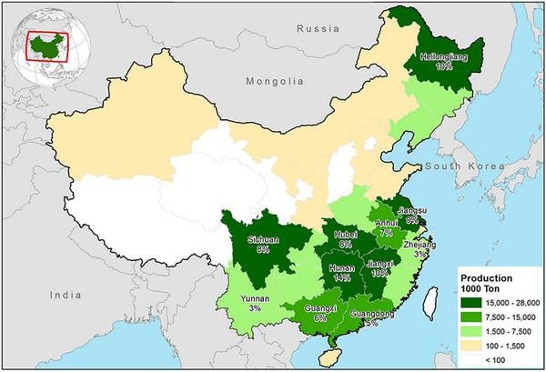 中国主要的粮食产地分布在哪里？