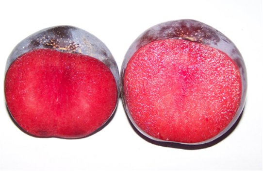 一种叫恐龙蛋的水果是什么水果？