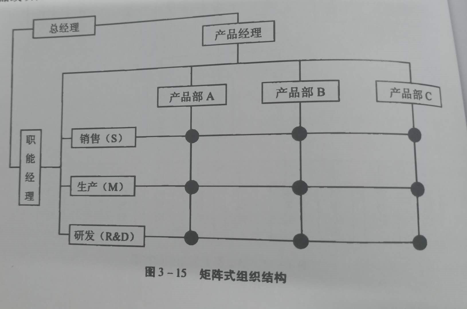 公司组织结构是什么？