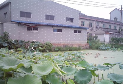 三家村指的是哪三人?