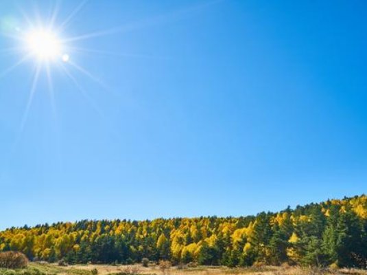 日语汉字阳炎是什么意思?