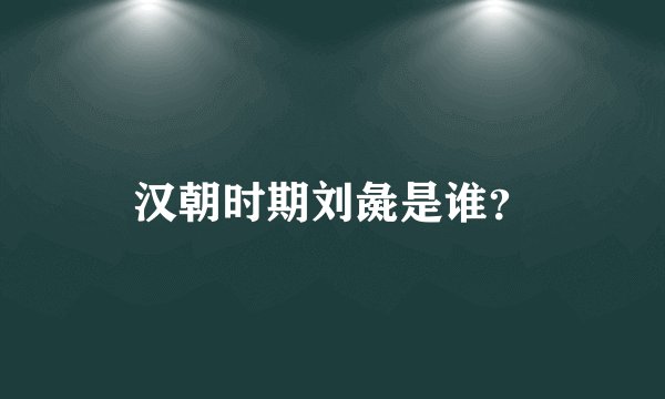 汉朝时期刘彘是谁？