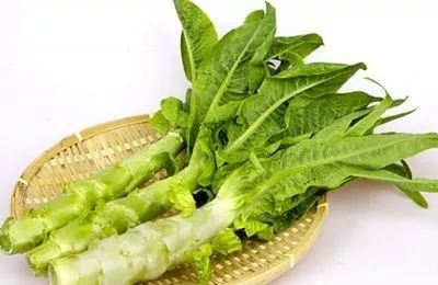 贡菜和莴笋是一种植物吗?