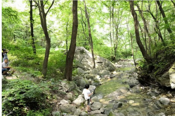 西安一日游最佳景点推荐