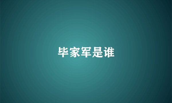 毕家军是谁