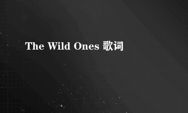 The Wild Ones 歌词