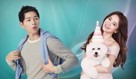 双宋离婚到底是什么原因?