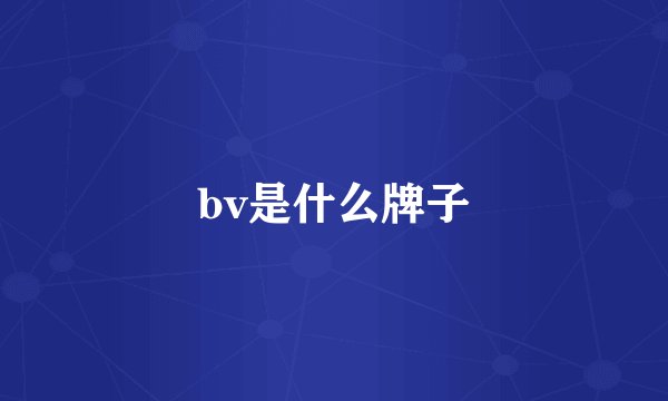 bv是什么牌子