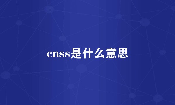 cnss是什么意思