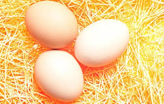 生鸡蛋能吃吗?