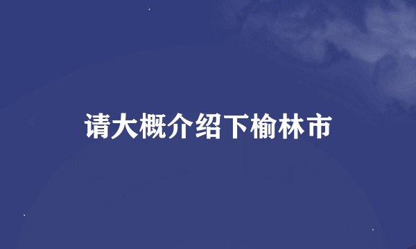 请大概介绍下榆林市