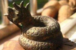 野鸡脖子蛇真的存在吗?