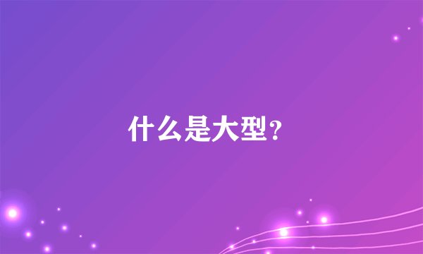 什么是大型？