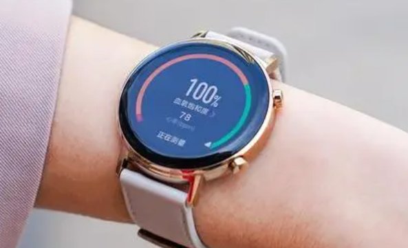 华为gt2pro手表功能介绍