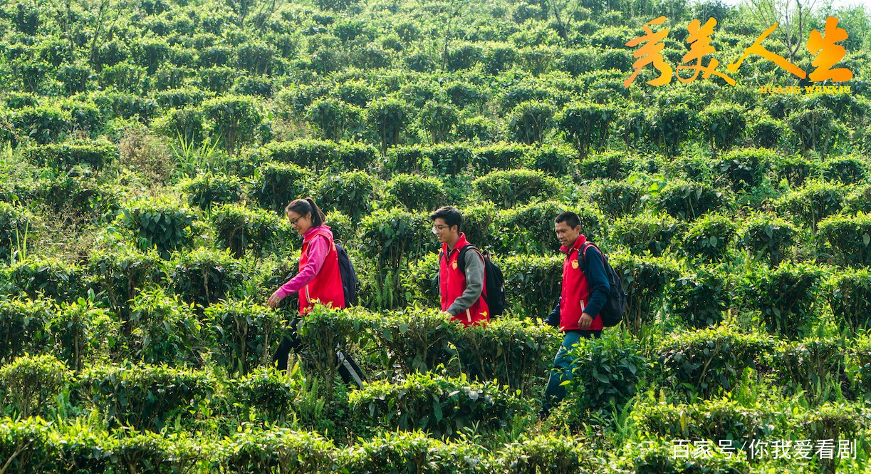 秀美人生电影简介