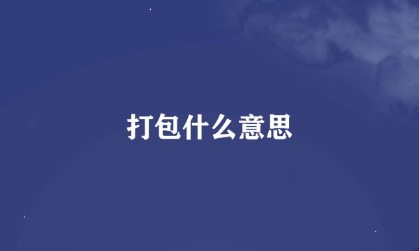 打包什么意思