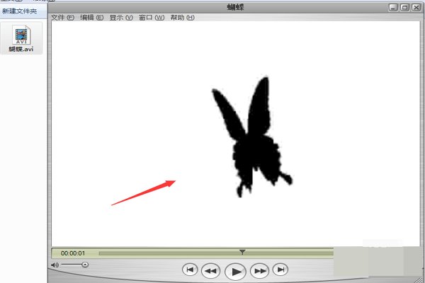 哪个播放器支持AVI格式?