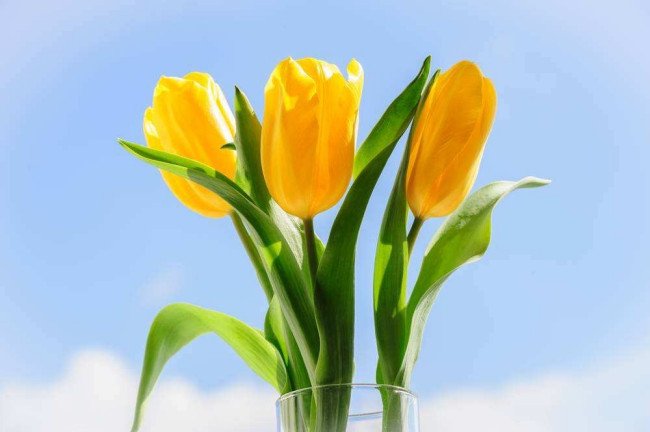 什麽是通俗文学