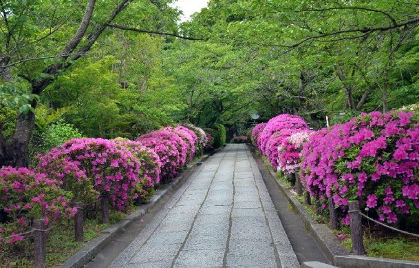 pathway是什么意思