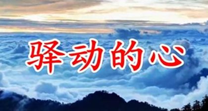 驿动的心是什么意思
