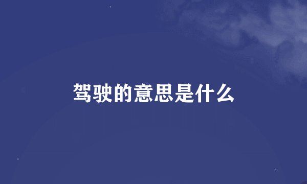 驾驶的意思是什么