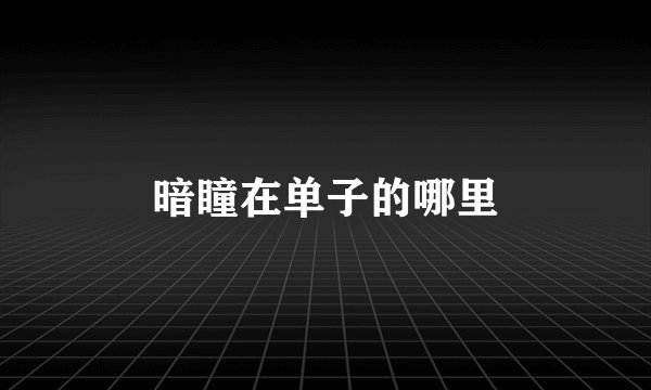 暗瞳在单子的哪里