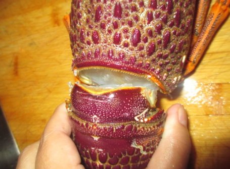 大龙虾的做法与杀法