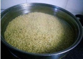 豆豉怎么制作方法