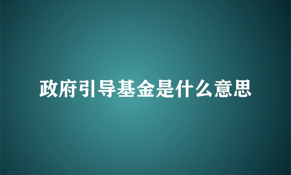 政府引导基金是什么意思