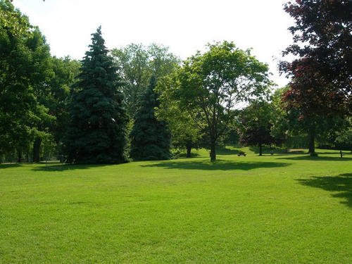 假草坪与真草坪有什么作用?