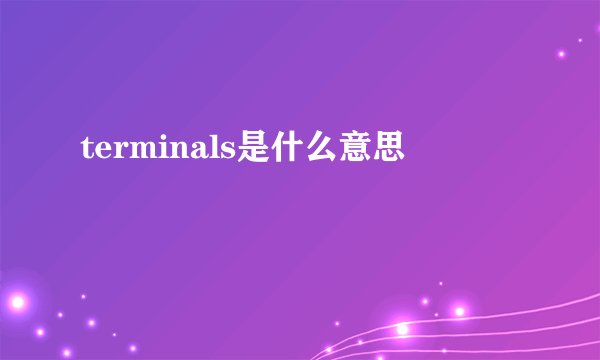 terminals是什么意思