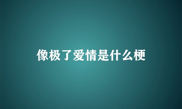 像极了爱情是什么梗