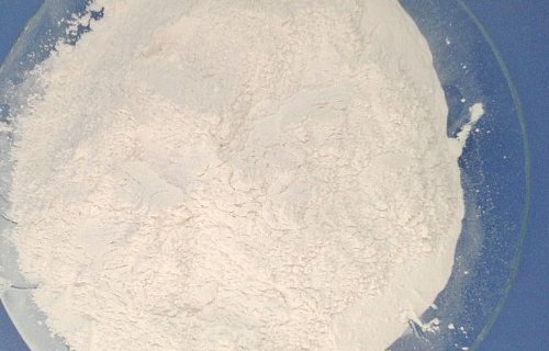 木聚糖酶主要用途有什么?