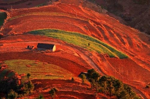 中国什么地方有红土地？