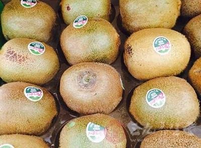 高血压吃什么比较好?