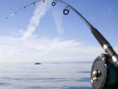 批发钓鱼竿的市场是什么?