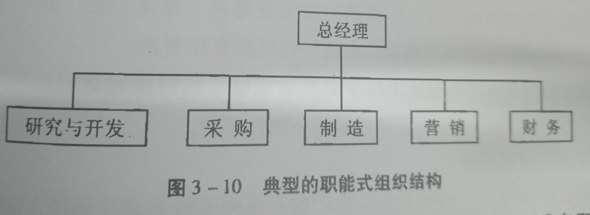 公司组织结构是什么？