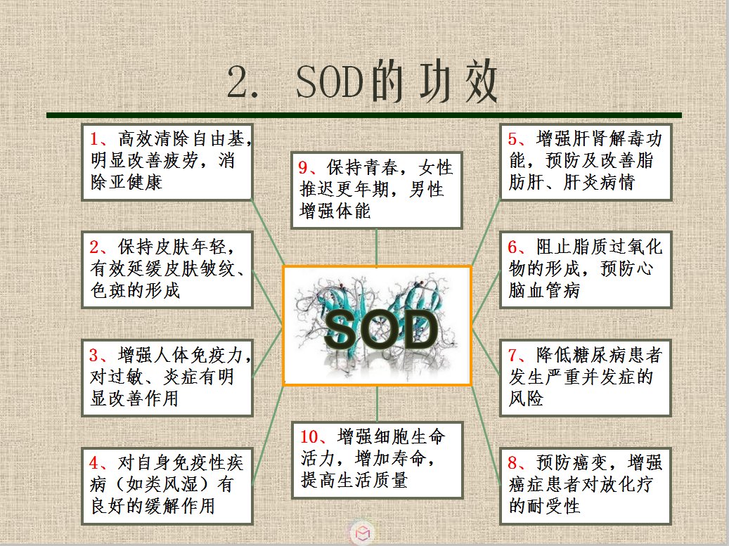 超氧化物歧化酶（SOD)是什么东西？有什么作用？能介绍吗？