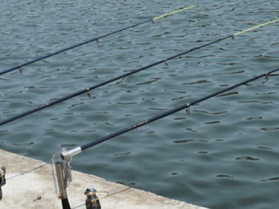 批发钓鱼竿的市场是什么?