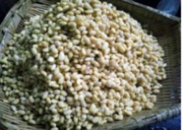 豆豉怎么制作方法