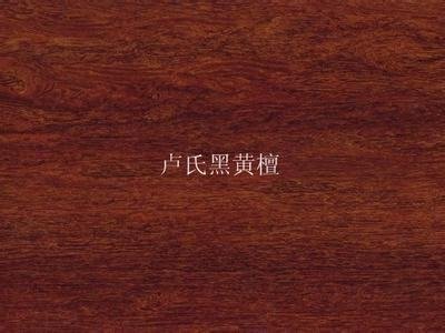 卢氏黑黄檀与微凹黄檀相比哪个好?