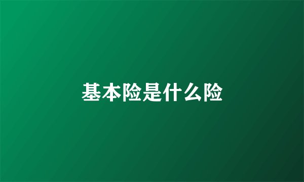 基本险是什么险