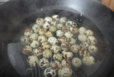 怎么煮鹌鹑蛋？