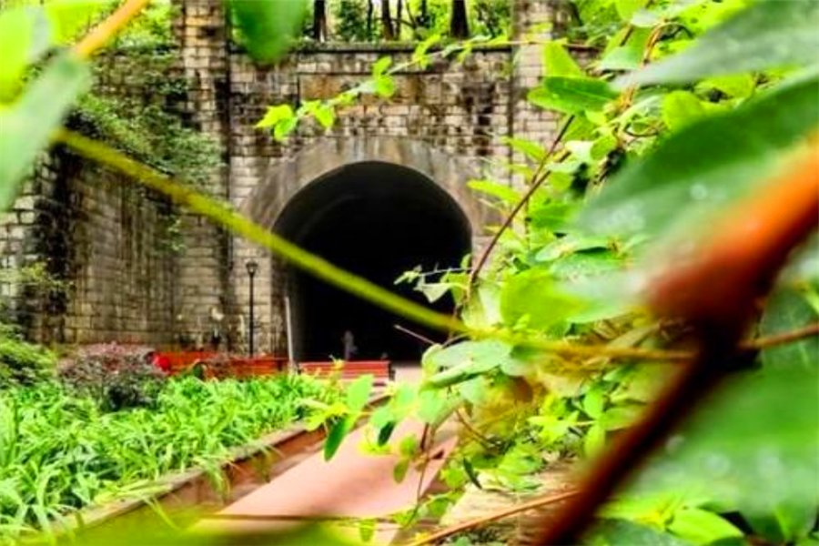 日本“犬鸣隧道”因离奇事故不断遭封锁，到底是何原因？