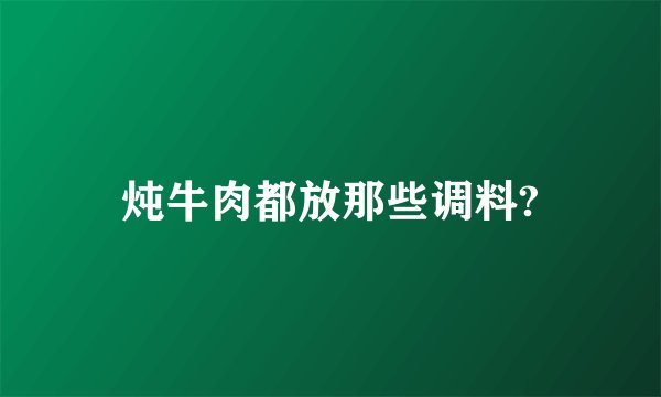 炖牛肉都放那些调料?
