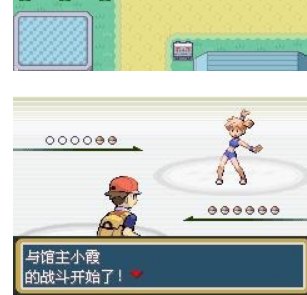 口袋妖怪火红版图文攻略(全!!!!)