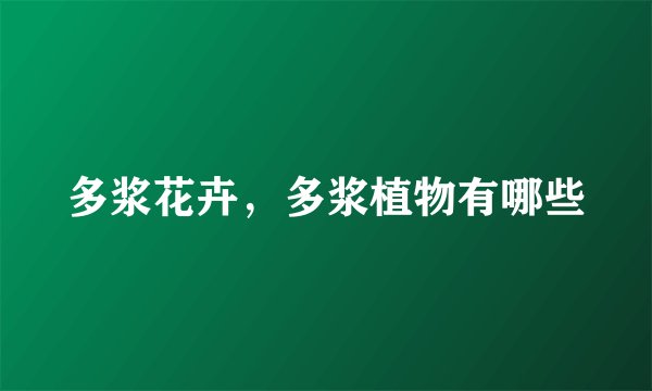 多浆花卉，多浆植物有哪些